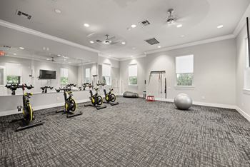 A room with a grey carpet and exercise equipment.